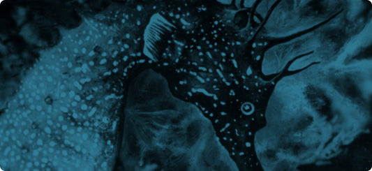 Exposition d'Art dans le Finistère