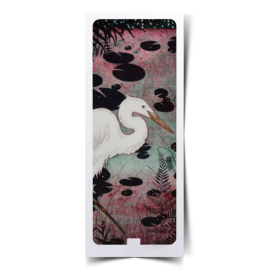 Aigrettes, nature, Lalou Kraffe, Normandie et Bretagne